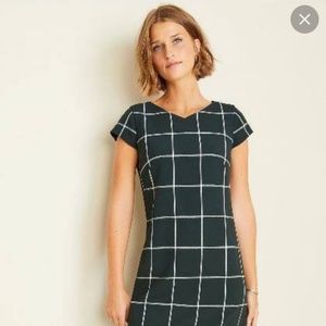 Ann Taylor Dark Green Windowpane Shift Dress (2P)